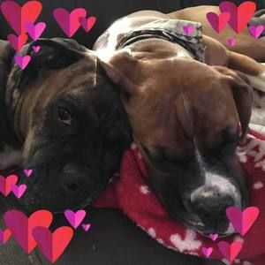 Meet your Posher, Cheryl